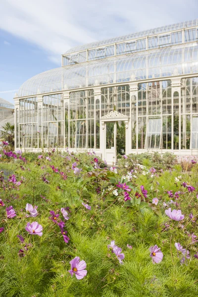 国立の植物園の温室 — ストック写真