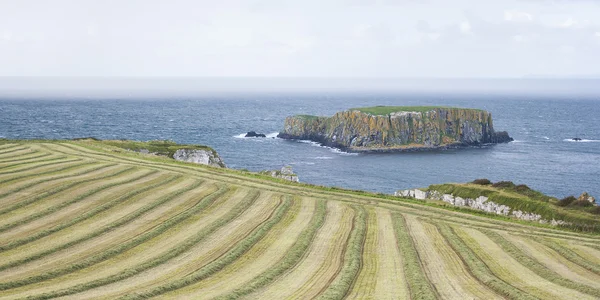 Paysage marin au Carrick a rede en Irlande du Nord — Photo