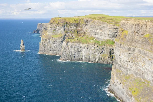 Acantilado de Moher — Foto de Stock