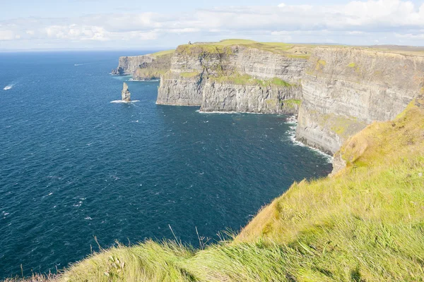 Cliff of Moher — Stock Photo, Image