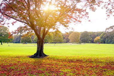sonbahar günbatımı