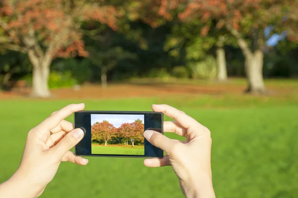 Mujer tomando fotos — Foto de Stock