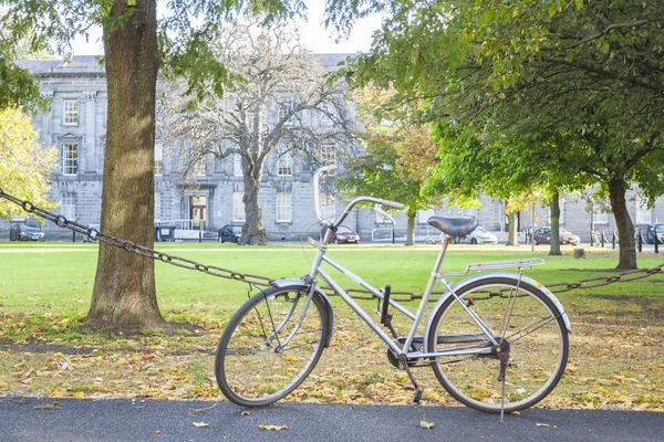 Bicicleta în parc — Fotografie, imagine de stoc