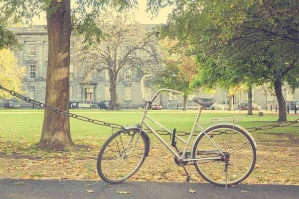 Bicicletta al parco — Foto Stock