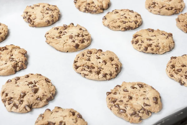 Homemade chocolate chip cookie — Stock Photo, Image
