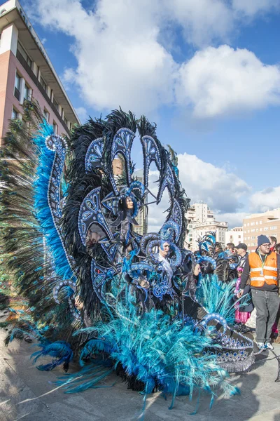 Karnaval custome — Stok fotoğraf