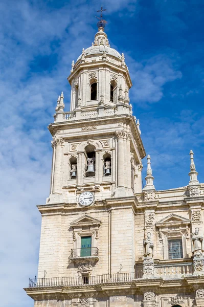 Cathédrale de Jaen — Photo