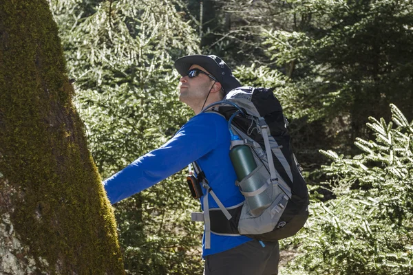 Mann sieht Baum im Wald an — Stockfoto