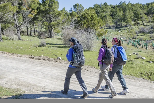 Wandern am Berg — Stockfoto