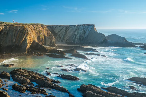Syn på klippa vid Cabo Sardao i Portugal — Stockfoto