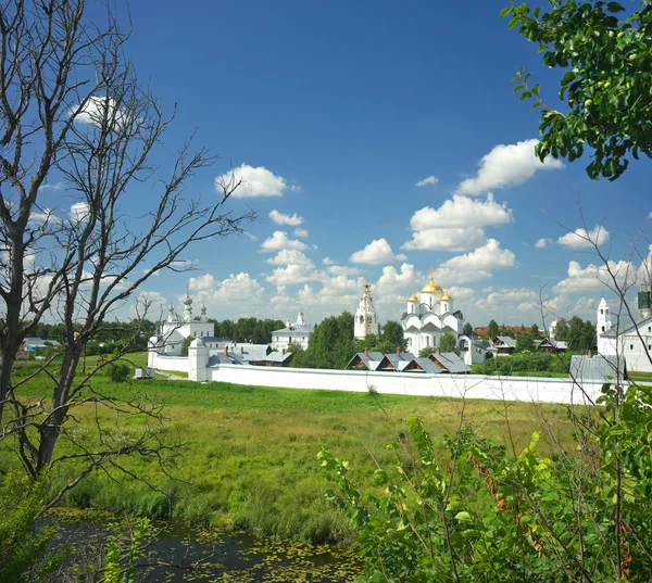 Zomer landschap in Soezdal — Stockfoto