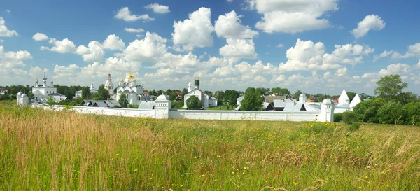 Zomer landschap in Soezdal Rechtenvrije Stockfoto's