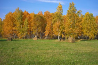 Saman sarmalı sonbahar manzarası.