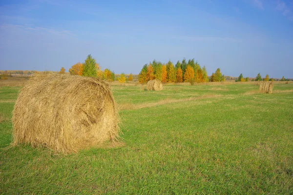 Autumn Landscape with hay rolls. — Stock Photo, Image