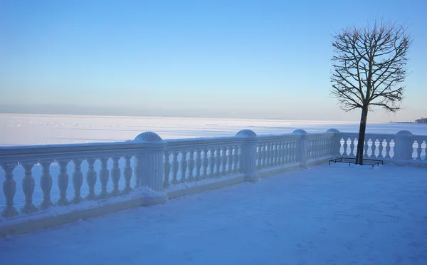 St. petersburg — Stockfoto