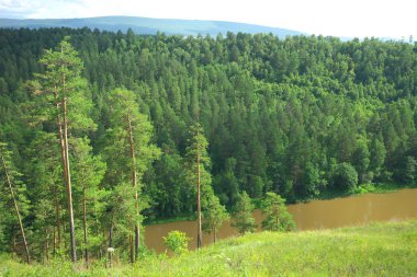 Hay River. Russia, South Ural. clipart