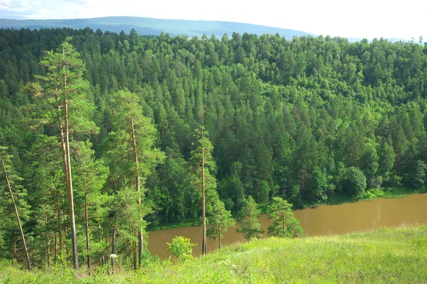 Széna folyó. Oroszország, Dél-Ural. — Stock Fotó