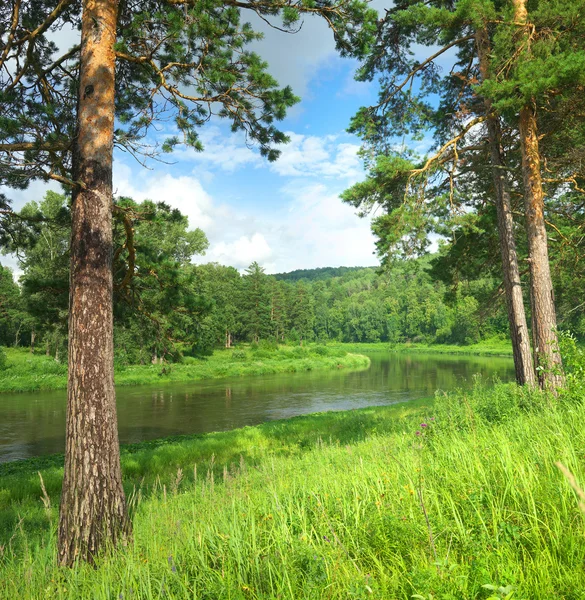 Hay River. Rusya, Güney Ural.