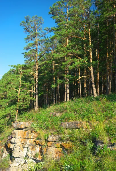 Rio Hay. Rússia, Ural do Sul . — Fotografia de Stock