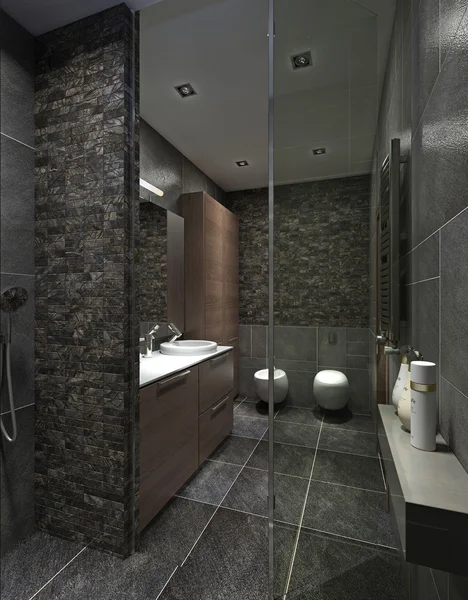 当代风格的浴室 — 图库照片