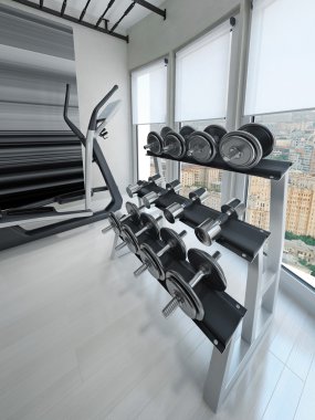 Modern bir spor salonu dumbbell rafa