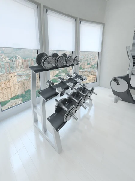 Dumbbell raf içinde jimnastik salonu