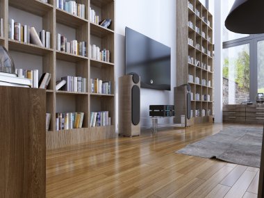 Home library in modern style
