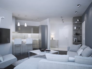 Minimalist daire studio