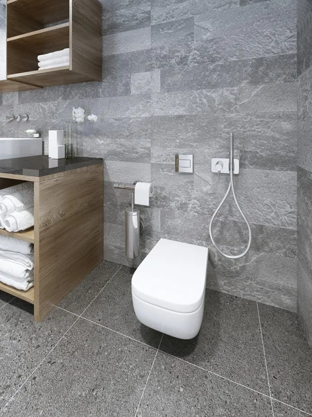 WC montado en la pared en baño moderno —  Fotos de Stock