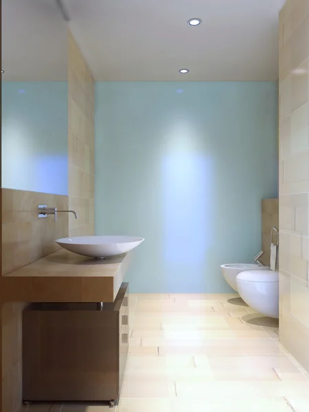 현대 화장실 아이디어 — 스톡 사진