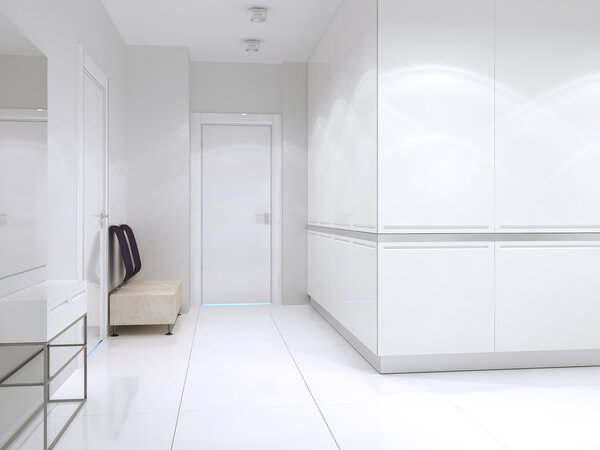 Современный коридор в большом дорогом доме
