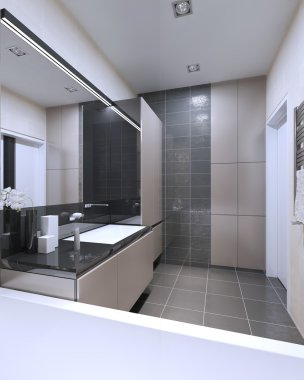 Karışık duvar banyo anlayışı