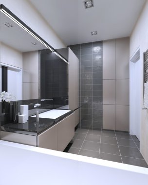 Idea of bathroom with mixed walls clipart