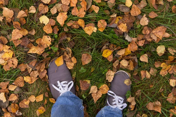 Piernas Zapatos Deportivos Grises Pie Sobre Hojas Secas Otoño Marrón — Foto de Stock