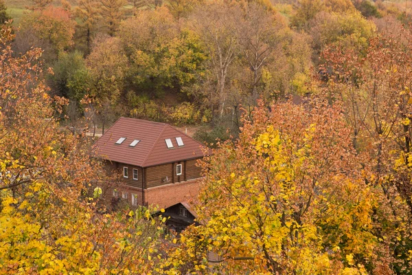 Casa Campo Natureza Fazenda Floresta Outono Queda Paisagem Com Árvores — Fotografia de Stock