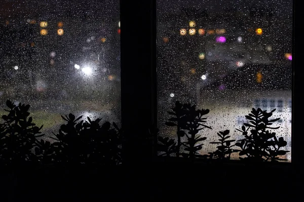 夜间雨滴落在窗上 街道上的灯火通明 窗台上室内植物的黑色轮廓 — 图库照片