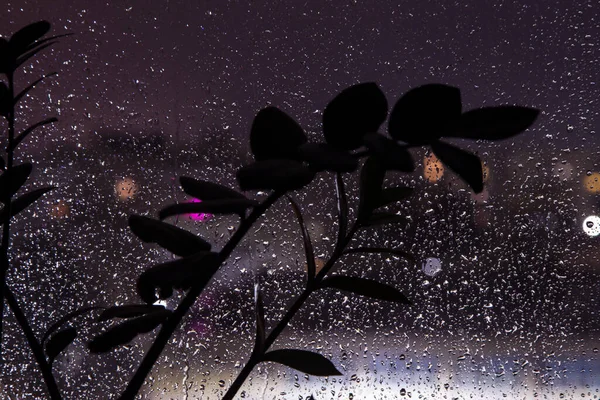 Krople Deszczu Okno Nocy Rozmytym Światłem Bokeh Ulicy Nieostre Kolorowe — Zdjęcie stockowe