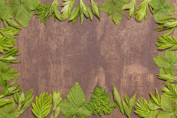 Green leaf frame on wooden background, copy space. Abstract brown texture framed by various leaves, flat lay, top view