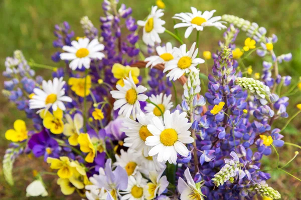 Fundo Flores Verão Perto Bonito Branco Amarelo Azul Violeta Buquê — Fotografia de Stock
