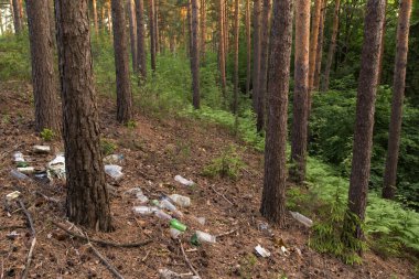 Doğadaki çöp yığını. Güzel yeşil çam ormanlarında plastik çöpler