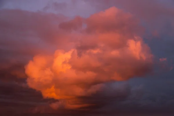 Epic sunset storm sky. Big white grey cumulus thunderstorm clouds in pink red orange sunlight background texture
