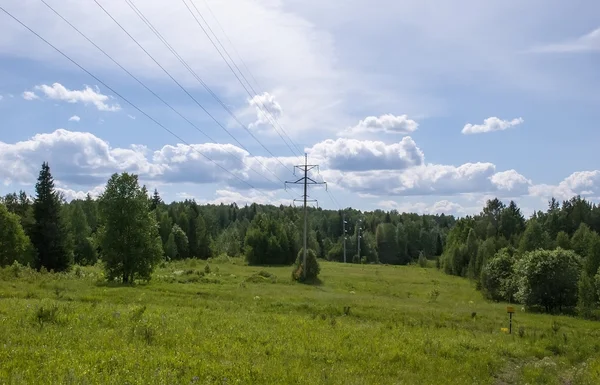 Stromleitung im Wald — Stockfoto