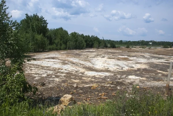 Ekolojik felaket bölgesi
