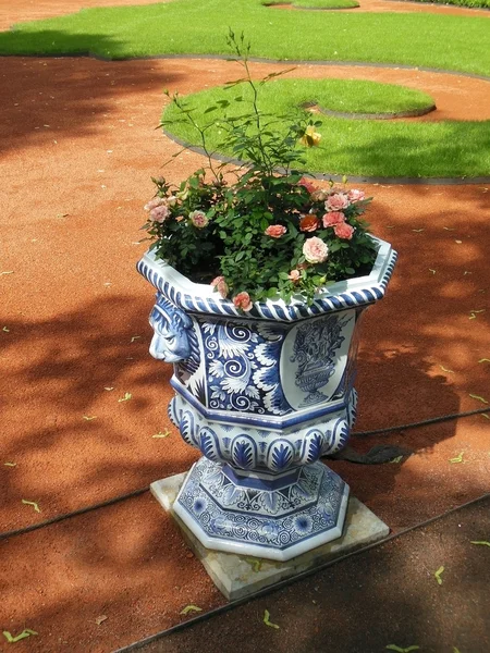 St. petersburg, Yaz Bahçesi