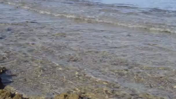 바다 물 — 비디오