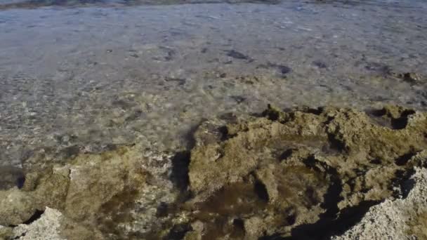 Água do mar transparente — Vídeo de Stock