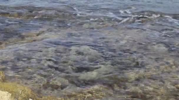 투명 한 바다 물 — 비디오