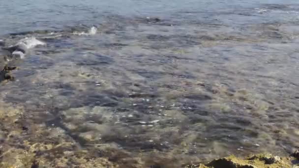 透明な海の水 — ストック動画