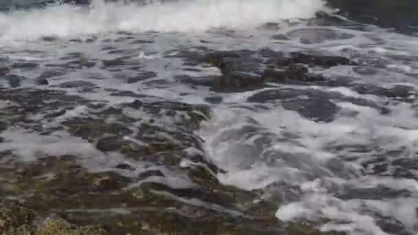 조용한 바다에서 작은 서핑 — 비디오