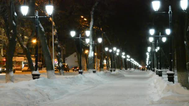 La avenida por la noche — Vídeo de stock